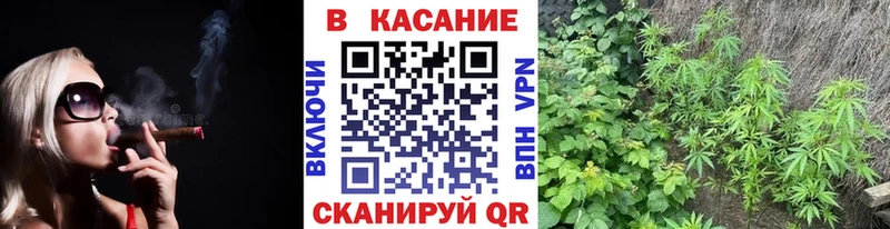Канабис Россошь
