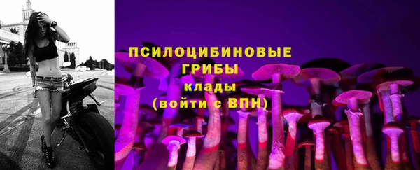 apvp Новодвинск