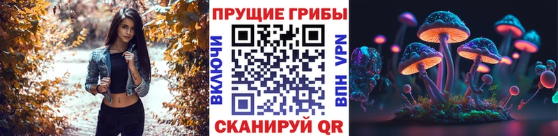 как найти закладки  Россошь  Галлюциногенные грибы мухоморы 