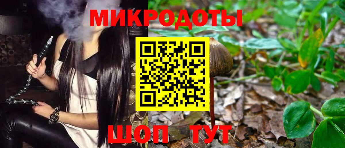 Псилоцибиновые грибы мицелий Россошь